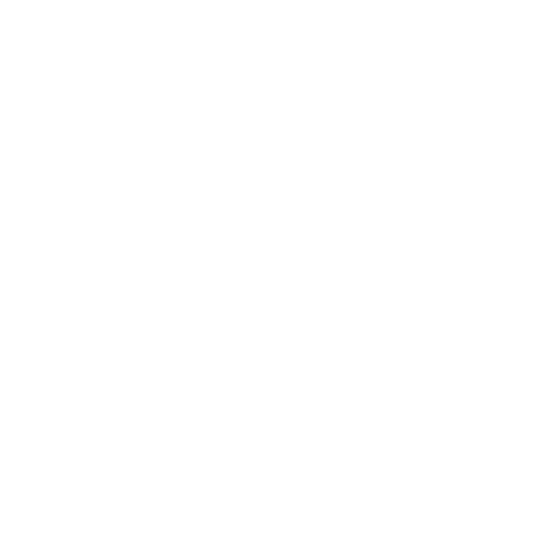 Buch «100 Jahre Blasmusikverband der Stadt Zürich»